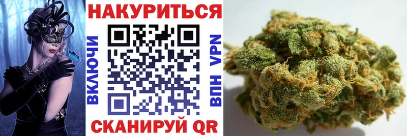 Купить наркотики сайты Кологрив Псилоцибиновые грибы Меф A-PVP