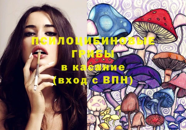 твердый Гусиноозёрск
