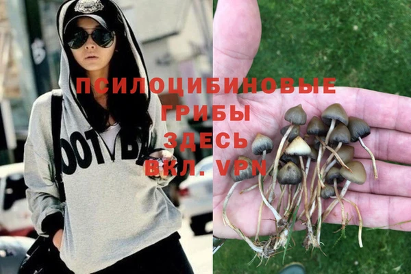 меф Белокуриха